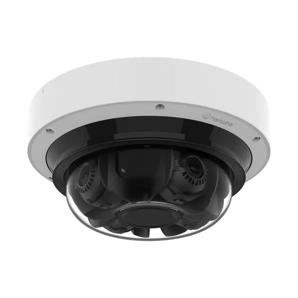 AI IR PTRZ Mult-directional Camera
